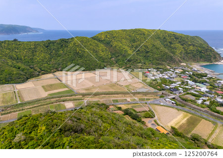 奄美大島亞尼村的鳥瞰圖 125200764