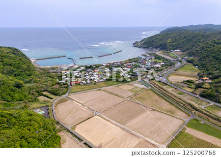奄美大島亞尼村的鳥瞰圖 125200768
