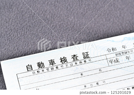 Electronic vehicle inspection certificate, safety standard compliance mark and passenger cars 125201029