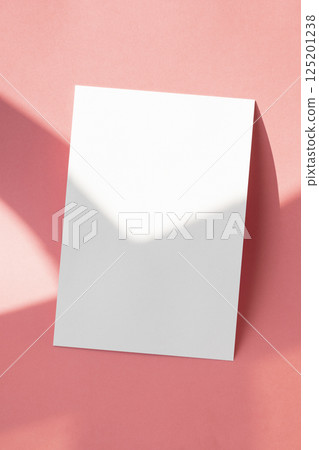 Window shadow and card mockup, business template 125201238
