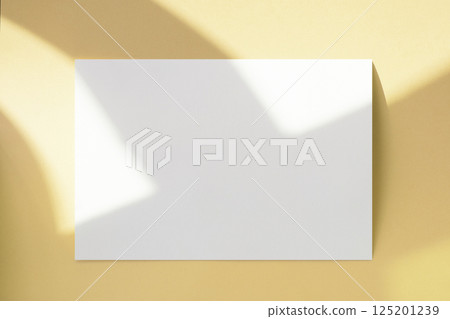 Window shadow and card mockup, business template 125201239