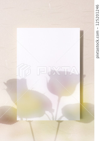Dreamy Colors and Card Mockups 125201246