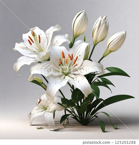 The elegant form of white flowers 125201288