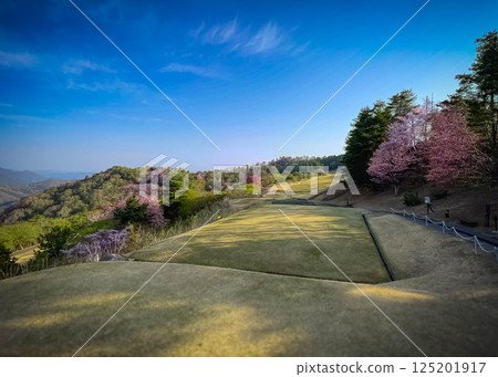 櫻花與高爾夫球場,京都Reisen高爾夫俱樂部,OUT1 櫻花與高爾夫球場,京都Reisen高爾夫俱樂部,OUT1 125201917