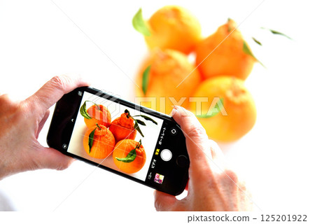 Senior taking photos of flowers with a mobile phone 125201922