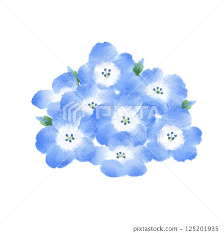 Watercolor illustration of a cluster of nemophila 125201935