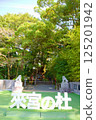 Kamimiya Shrine large camphor tree 125201942