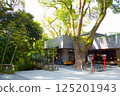 Kinomiya Shrine Assembly Hall 125201943