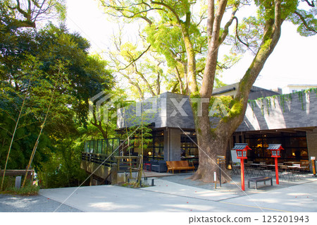 Kinomiya Shrine Assembly Hall 125201943