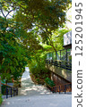 Approach to Kinomiya Shrine 125201945