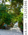 Approach to Kinomiya Shrine 125201946