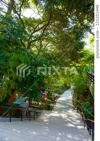 前往來宮神社的參拜道路 前往來宮神社的參拜道路 125201946