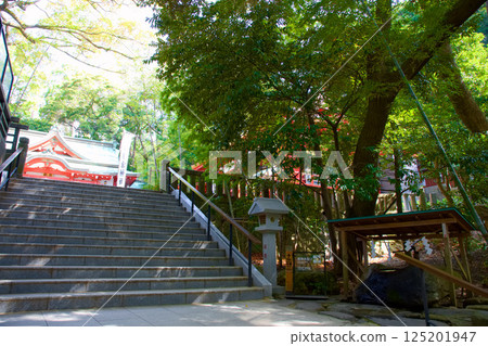 前往來宮神社的參拜道路 前往來宮神社的參拜道路 125201947
