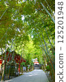 Approach to Kinomiya Shrine 125201948