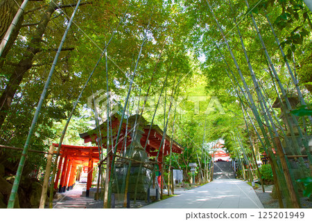 前往來宮神社的參拜道路 前往來宮神社的參拜道路 125201949