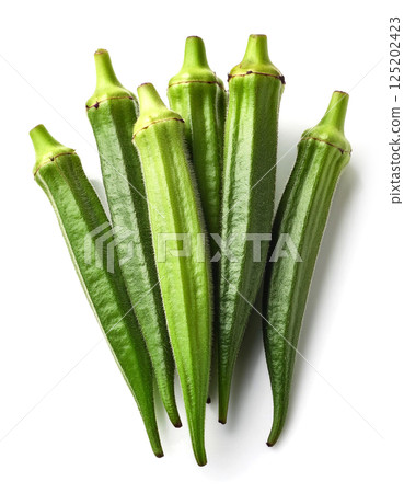 Fresh okra. White background. 125202423