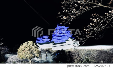 姬路城和夜櫻花 125202494