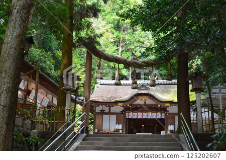 Nara Daigaku Shrine Nara Daigaku Shrine 125202607