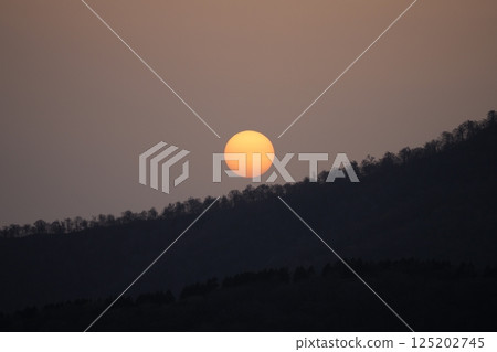 The sun rising from beyond the forest 125202745