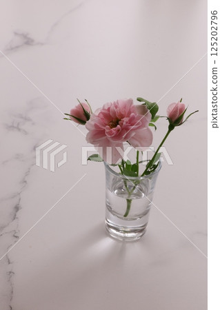 玻璃花瓶中的微型玫瑰 125202796
