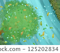 leaves and drops 125202834