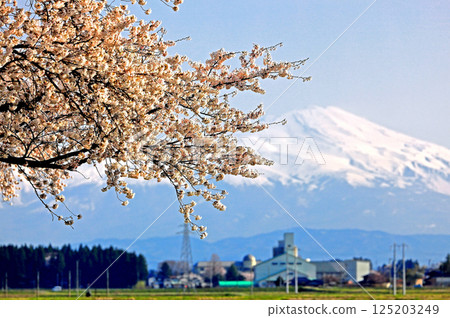 馬多瓦河和平公園 馬多瓦河和平公園 125203249
