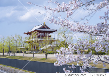 平城京的朱雀門和盛開的櫻花 125203474