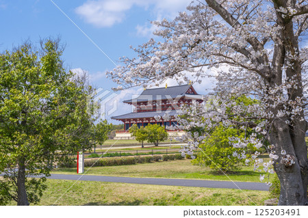 平城京：第一代大極殿與櫻花 125203491