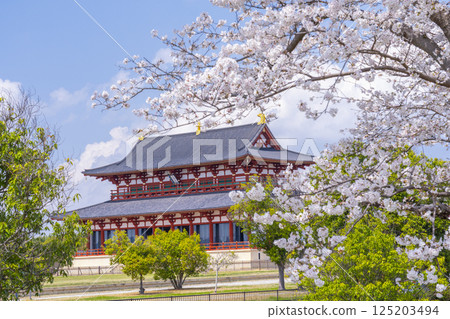 平城京：第一代大極殿與櫻花 125203494