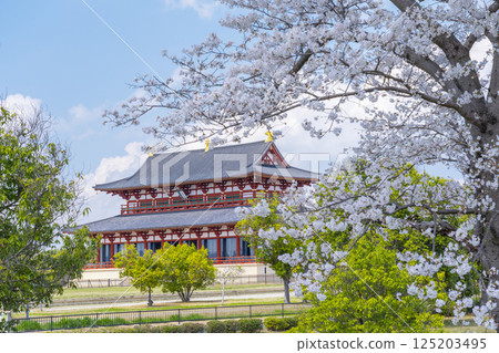 Heijo-kyo: First Daigokuden and cherry blossoms Heijo-kyo: First Daigokuden and cherry blossoms 125203495