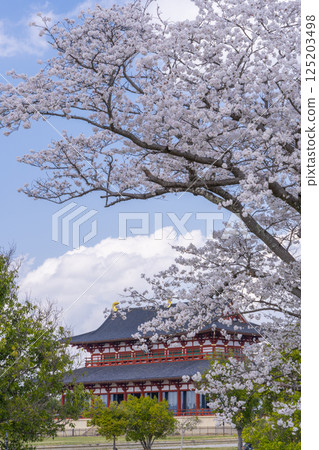 Heijo-kyo: First Daigokuden and cherry blossoms 125203498