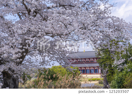 平城京:第一代大極殿與櫻花 平城京:第一代大極殿與櫻花 125203507