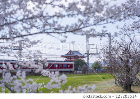 Heijokyo: Cherry blossoms, Suzakumon Gate and Kintetsu train Heijokyo: Cherry blossoms, Suzakumon Gate and Kintetsu train 125203514