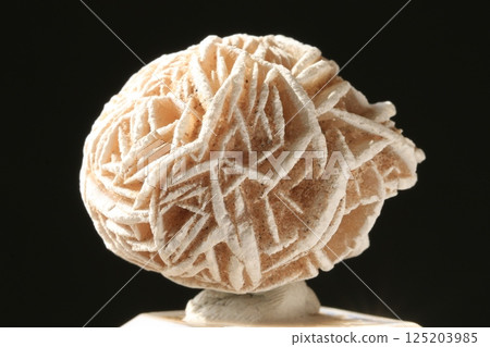 Rose of the desert 125203985