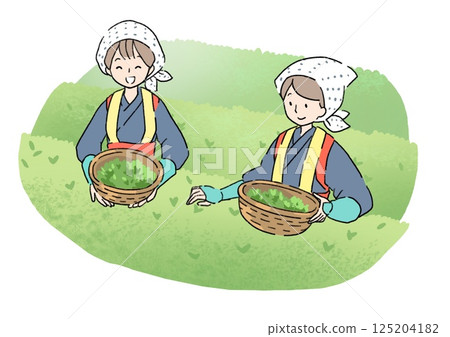 採茶工的插圖 125204182
