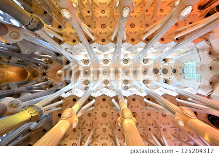 聖家族大教堂 聖家族大教堂 125204317