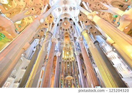 Sagrada Familia Cathedral Sagrada Familia Cathedral 125204320