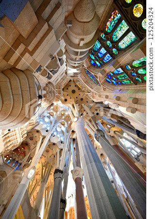 Sagrada Familia Cathedral 125204324