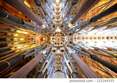 Sagrada Familia Cathedral Sagrada Familia Cathedral 125204335