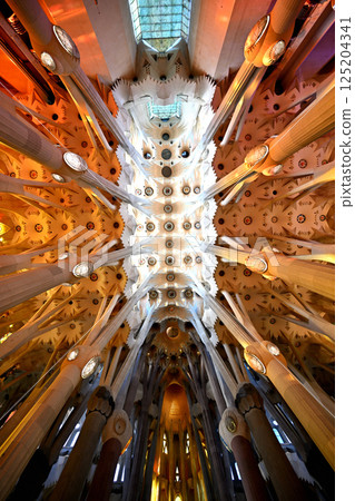 Sagrada Familia Cathedral 125204341