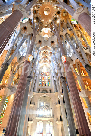 Sagrada Familia Cathedral 125204344