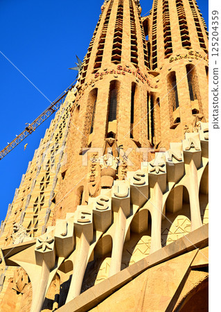 聖家族大教堂 聖家族大教堂 125204359