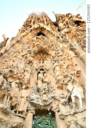 Sagrada Familia Cathedral 125204365