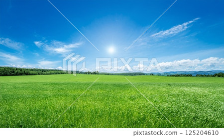 Summer grassland scenery with blue sky 3 125204610