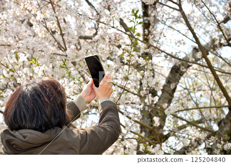 Senior taking photos of flowers with a mobile phone 125204840