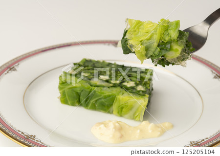 用叉子提起蔬菜凍 用叉子提起蔬菜凍 用叉子提起蔬菜凍 用叉子提起蔬菜凍 125205104