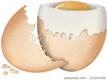 Boiled Chicken eggs natural cute cartoon hand drawn Food Art illustration. Boiled Chicken eggs natural cute cartoon hand drawn Food Art illustration. 125205286