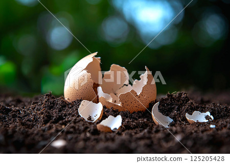 Eggshell pieces on fertile soil, representing life cycles and eco friendly farming practices Eggshell pieces on fertile soil, representing life cycles and eco friendly farming practices 125205428