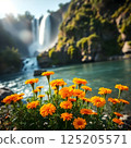 從現在到夏天都會開花 125205571