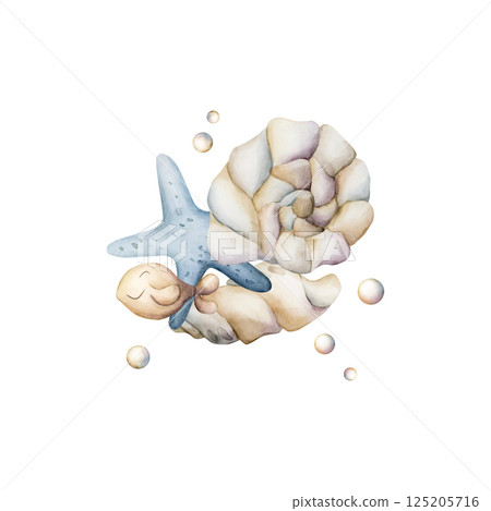 Sea Shell Starfish Fish Pearls. Cute ivory seashells. Underwater ocean marine life. Watercolor hand painted summer isolated illustration for kids nursery decor wall sticker baby shower undersea design 125205716